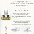 Ampliar imagen: certificate 2