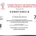 Ampliar imagen: certificate 9