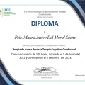 Ampliar imagen: certificate 29