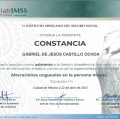 Ampliar imagen: certificate 12