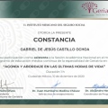 Ampliar imagen: certificate 25