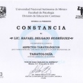 Ampliar imagen: certificate 12