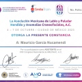 Ampliar imagen: certificate 9