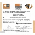 Ampliar imagen: certificate 23