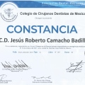Ampliar imagen: certificate 5