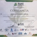 Ampliar imagen: certificate 6