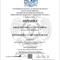 Ampliar imagen: certificate 4