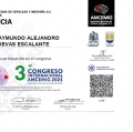 Ampliar imagen: certificate 20