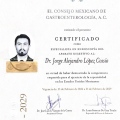 Ampliar imagen: certificate 1