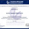 Ampliar imagen: certificate 3