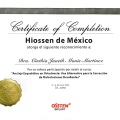 Ampliar imagen: certificate 1