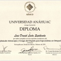 Ampliar imagen: certificate 1