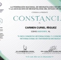 Ampliar imagen: certificate 6
