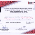 Ampliar imagen: certificate 2