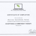 Ampliar imagen: certificate 9