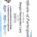 Ampliar imagen: certificate 10