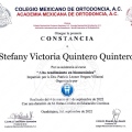 Ampliar imagen: certificate 7