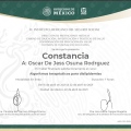 Ampliar imagen: certificate 4