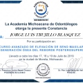 Ampliar imagen: certificate 9