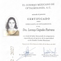 Ampliar imagen: certificate 1