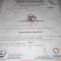Ampliar imagen: certificate 2