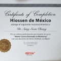 Ampliar imagen: certificate 3