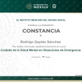 Ampliar imagen: certificate 10