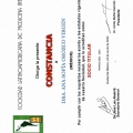 Ampliar imagen: certificate 9