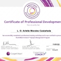 Ampliar imagen: certificate 3