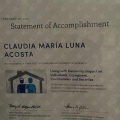 Ampliar imagen: certificate 20