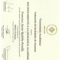 Ampliar imagen: certificate 9