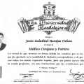Ampliar imagen: certificate 8