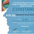 Ampliar imagen: certificate 8