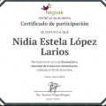 Ampliar imagen: certificate 1
