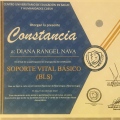 Ampliar imagen: certificate 5