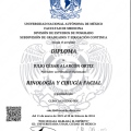Ampliar imagen: certificate 6