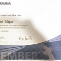 Ampliar imagen: certificate 7