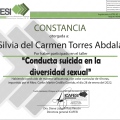 Ampliar imagen: certificate 14