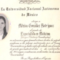 Ampliar imagen: certificate 3