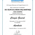 Ampliar imagen: certificate 6