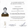Ampliar imagen: certificate 4