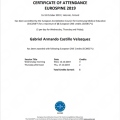 Ampliar imagen: certificate 4