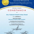 Ampliar imagen: certificate 7