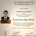 Ampliar imagen: certificate 1