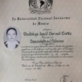 Ampliar imagen: certificate 11