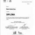 Ampliar imagen: certificate 3