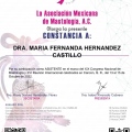 Ampliar imagen: certificate 4