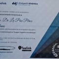 Ampliar imagen: certificate 8
