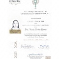 Ampliar imagen: certificate 3