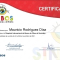 Ampliar imagen: certificate 1